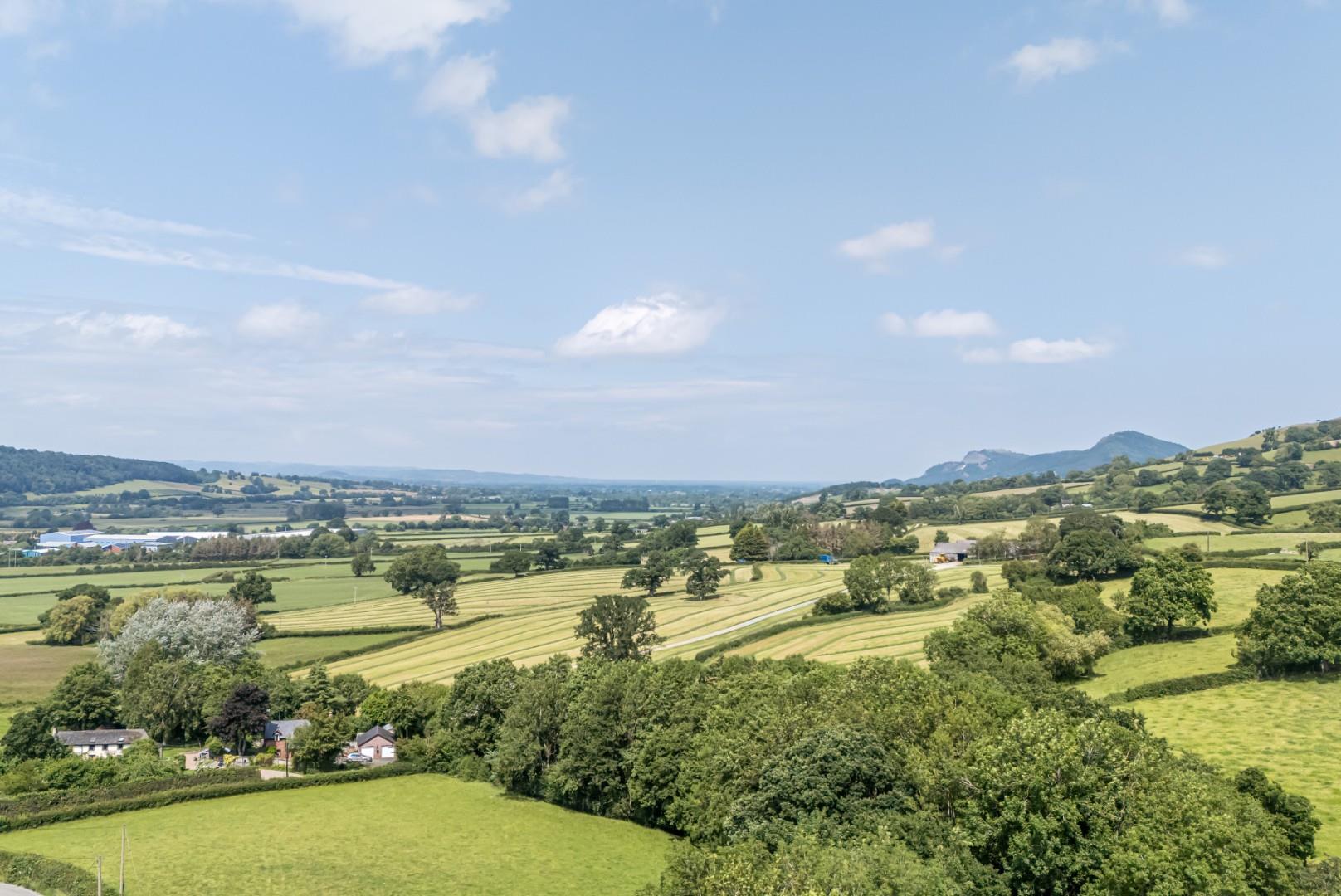 Property Image 91863ca7-75ee-4b64-a1a9-53eac9148844