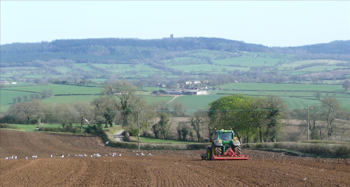 farm tractor ploughing field 