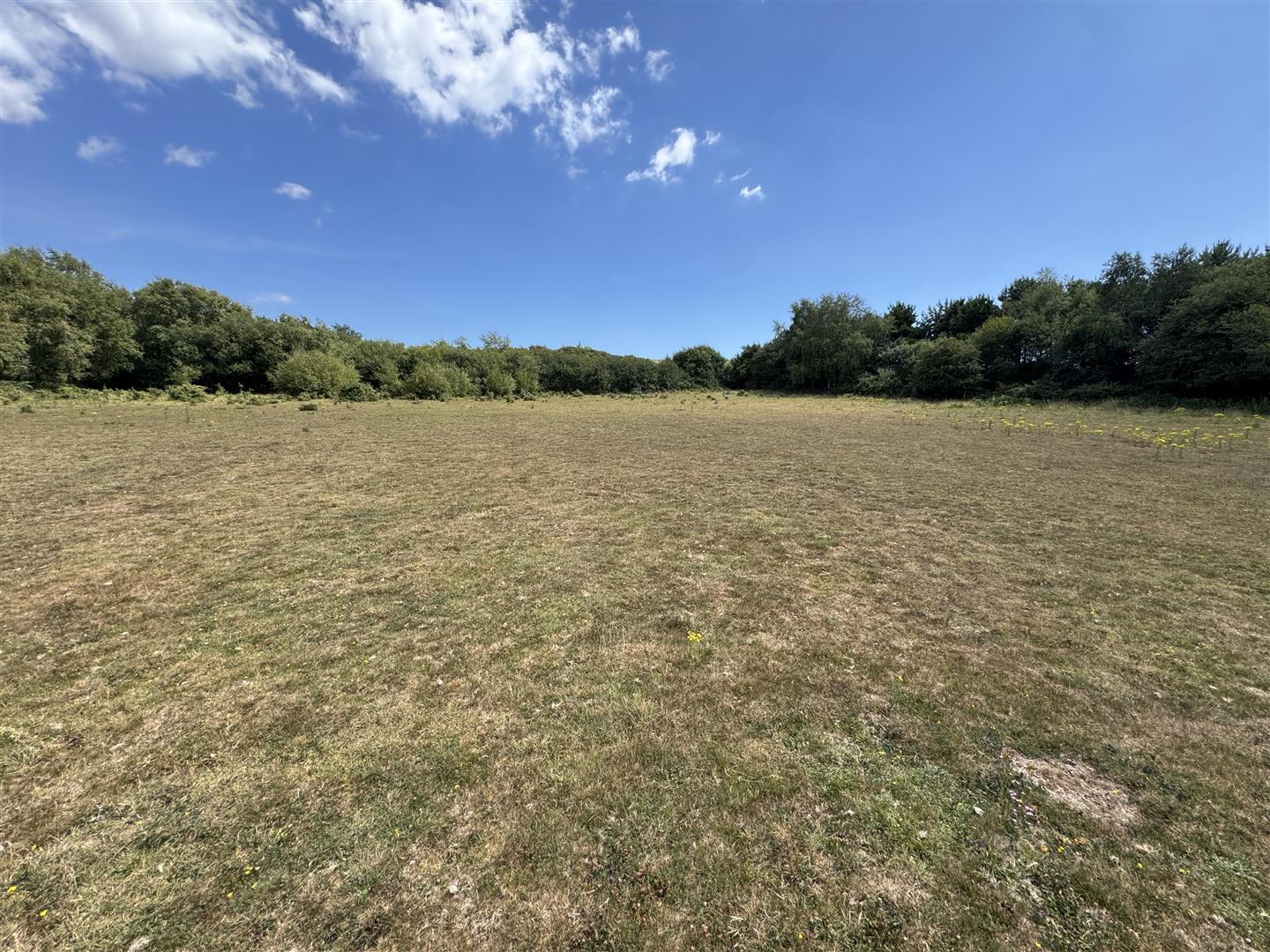 Property Image 91a03902-4f9a-4bfe-8017-d971b9eb6825