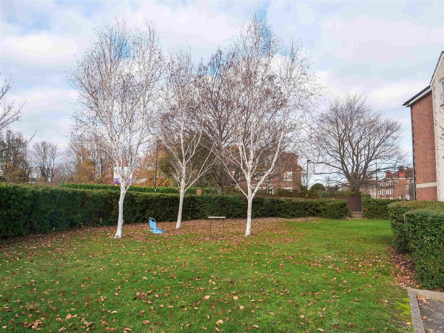 Property Image 91a623ec-68e1-4e7a-b0e0-ba7aae34c801