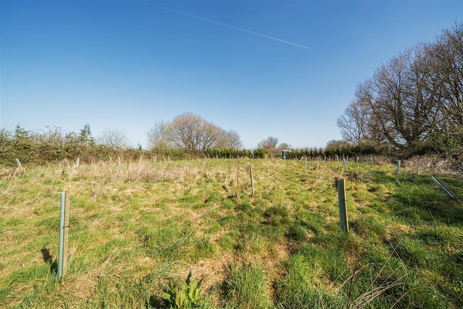 Property Image 91c74581-72cc-435e-858a-073b40e2e17a