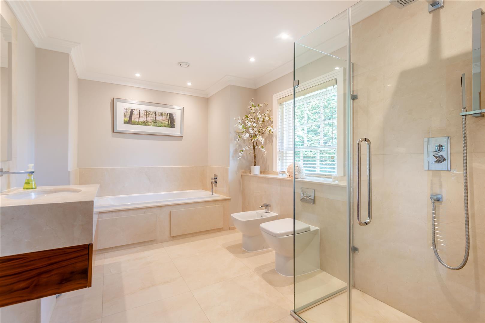 Property Image 91d792d3-3dfd-4acb-a80e-19433f8ef89f