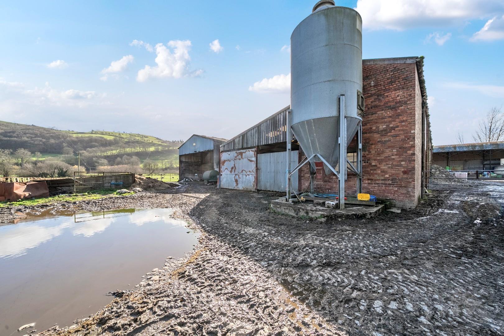 Property Image 91e46e89-5169-4fa7-adca-829f9bddb35d
