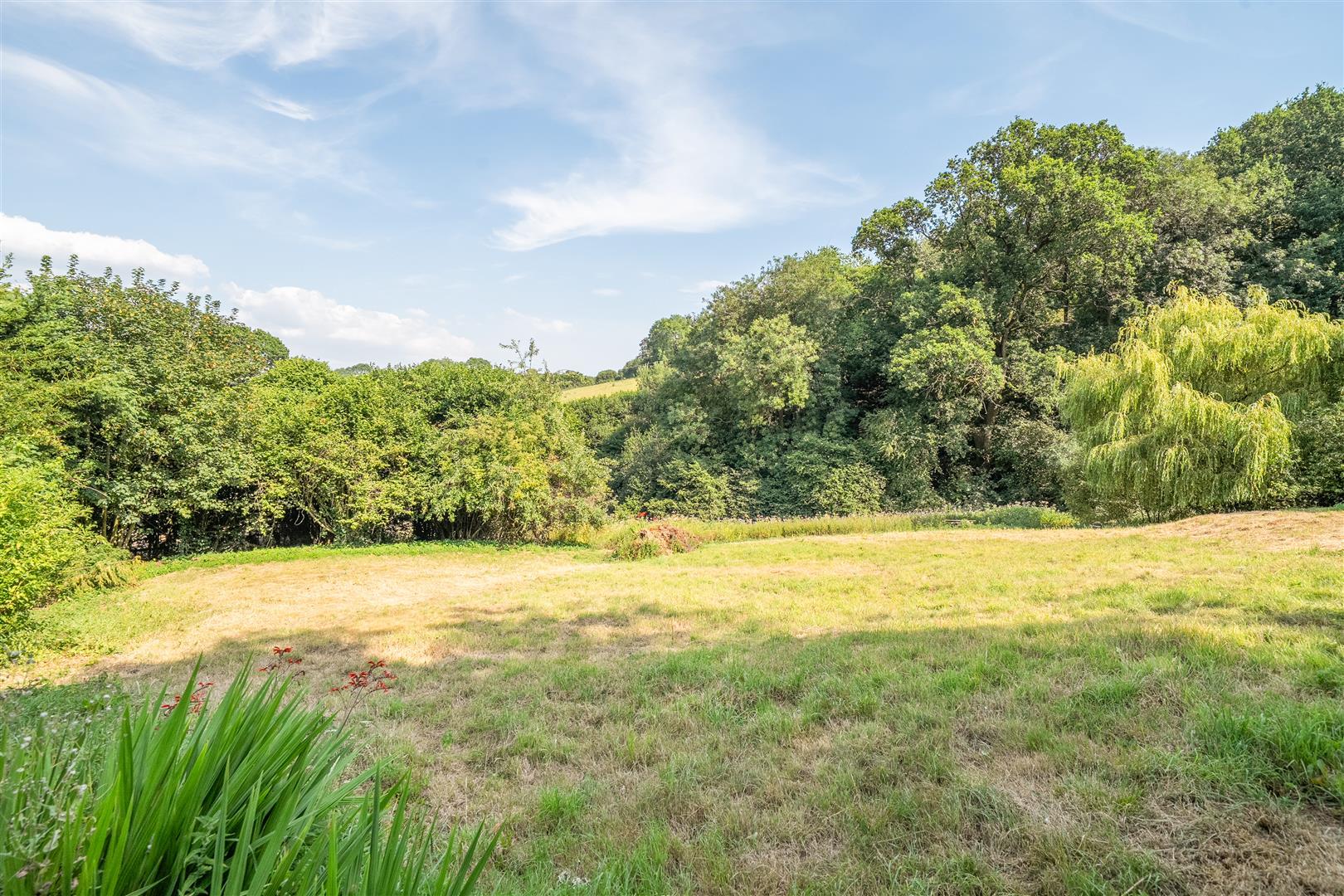 Property Image 91ff8532-21b5-4036-813b-f01f1231222b