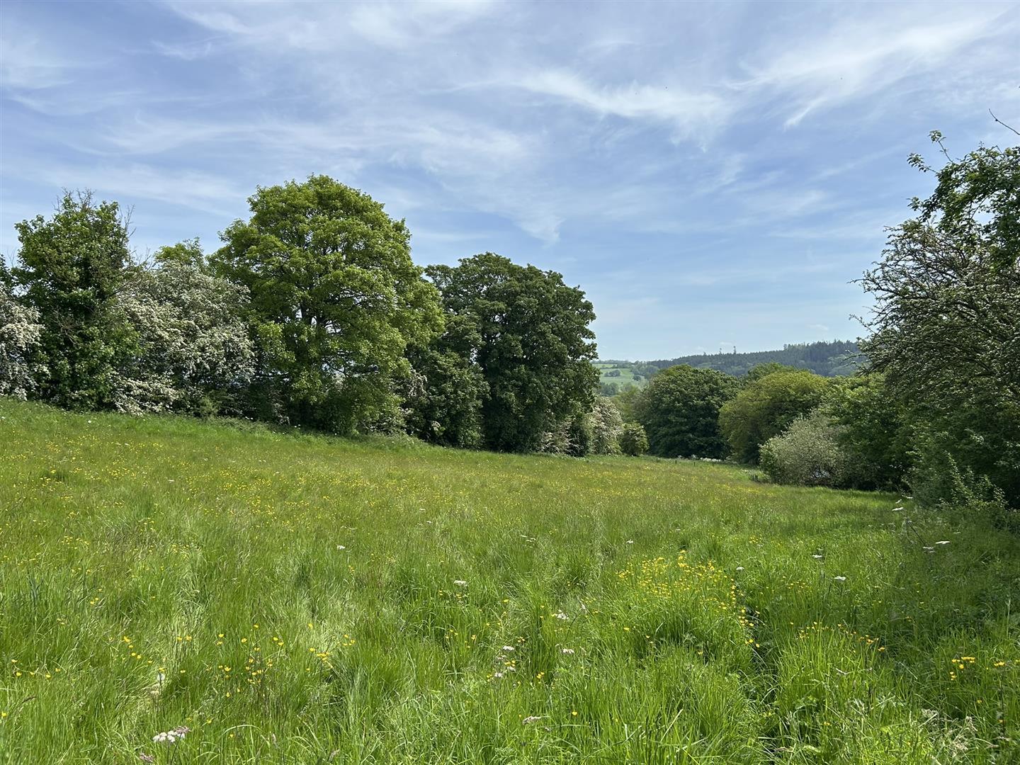 Property Image 920e2776-291a-4639-9389-2f849cefa232