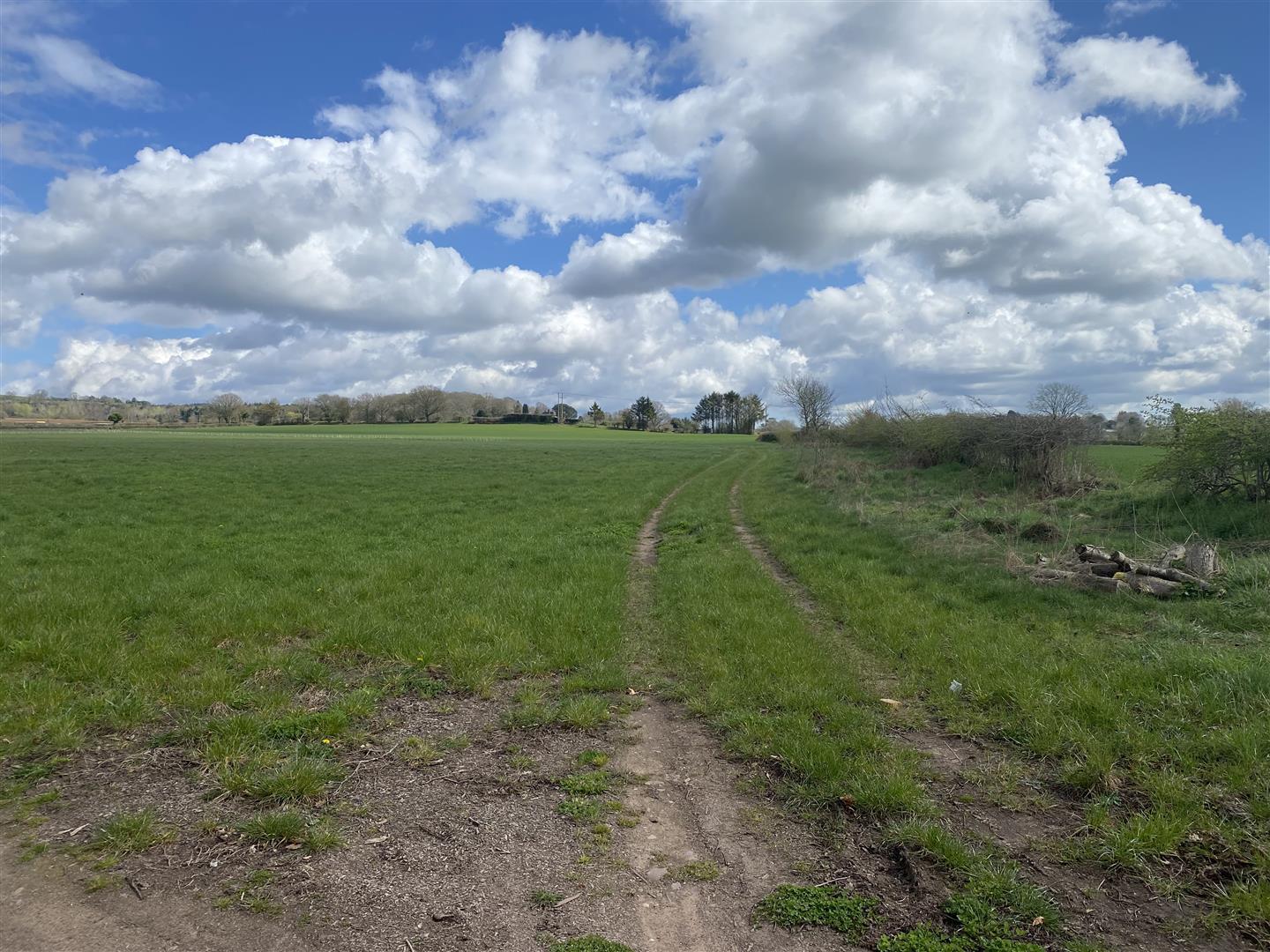 Property Image 921ac286-c3aa-40be-94dd-728db08465fa