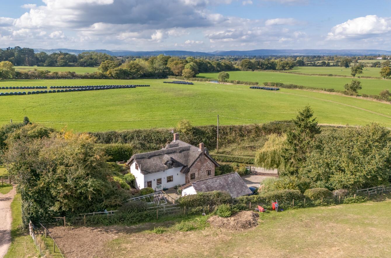 Property Image 921f9812-4e41-4c36-aa76-553ea2d4c134