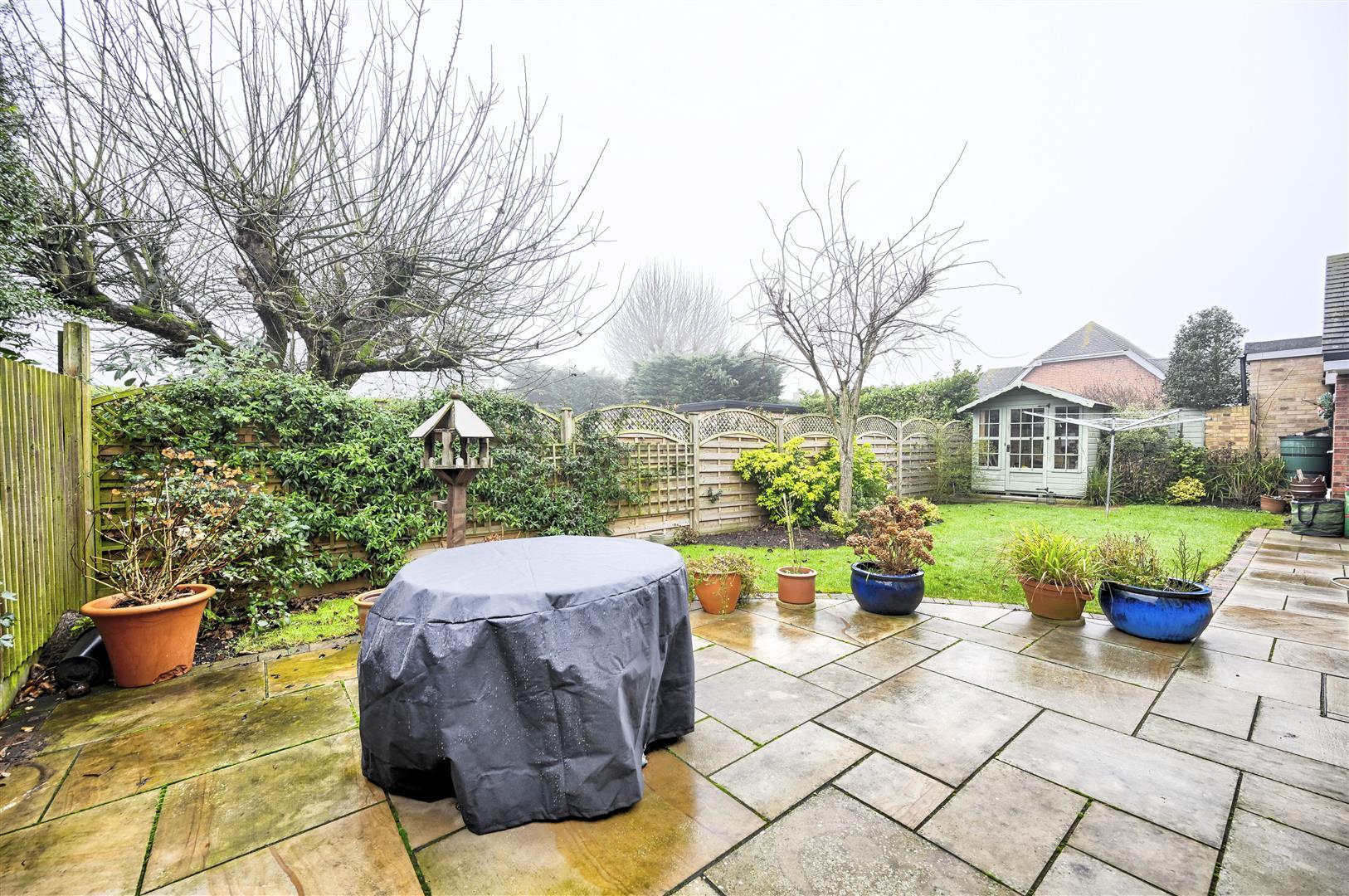 Image 20