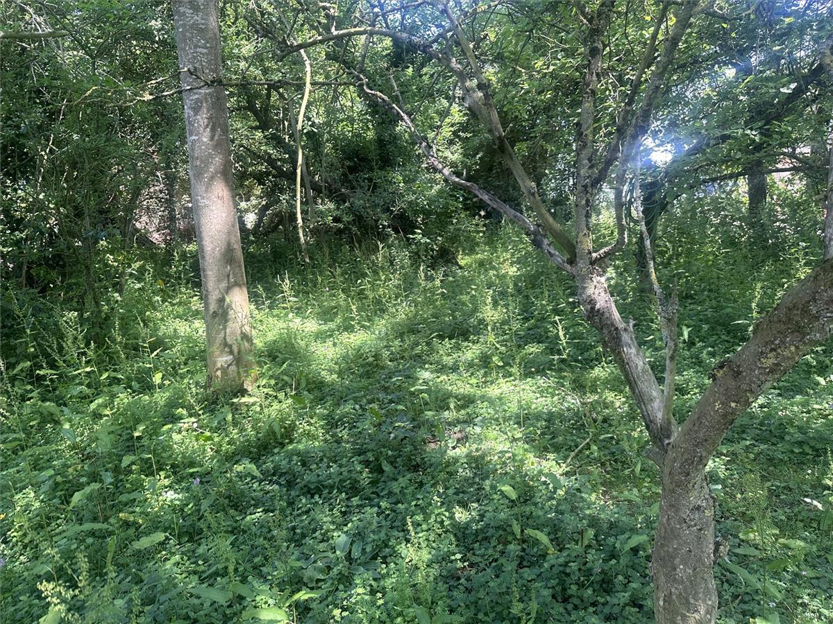 Property Image 924cd47c-cc99-429f-b366-abf89a0df2cb