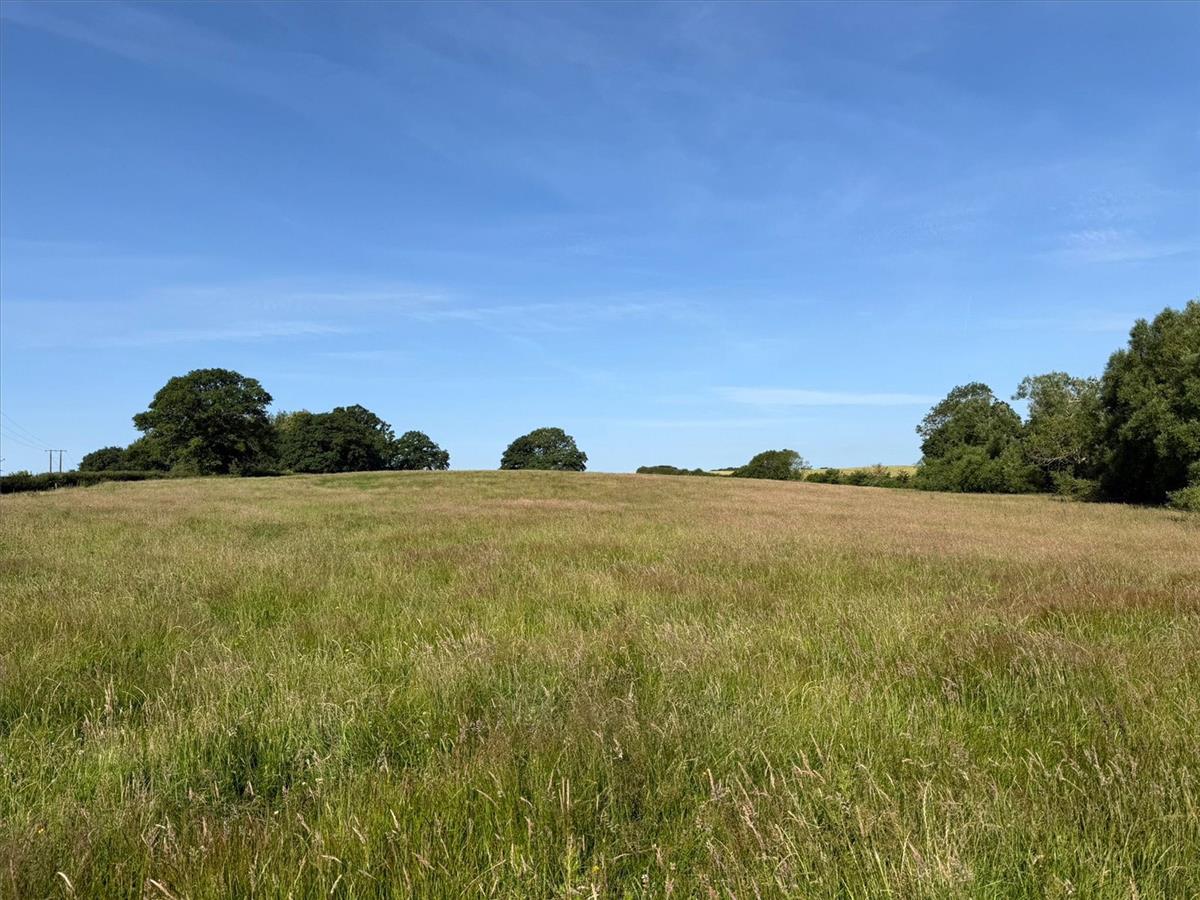 Property Image 9284b894-3f3f-421d-a758-bc9cca1f3b30