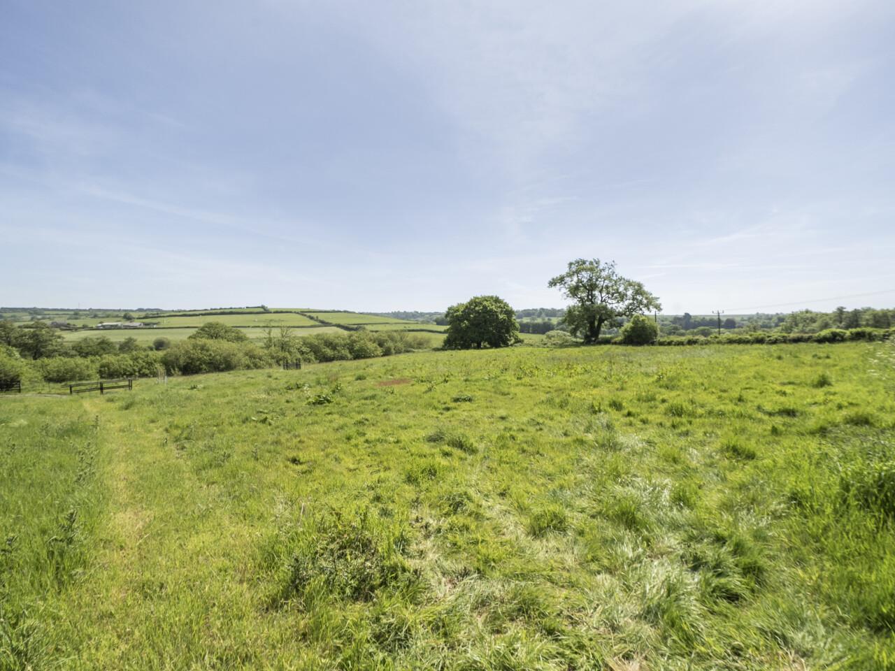 Property Image 92a00d61-f83f-451d-85ec-cbc3b7dca85c