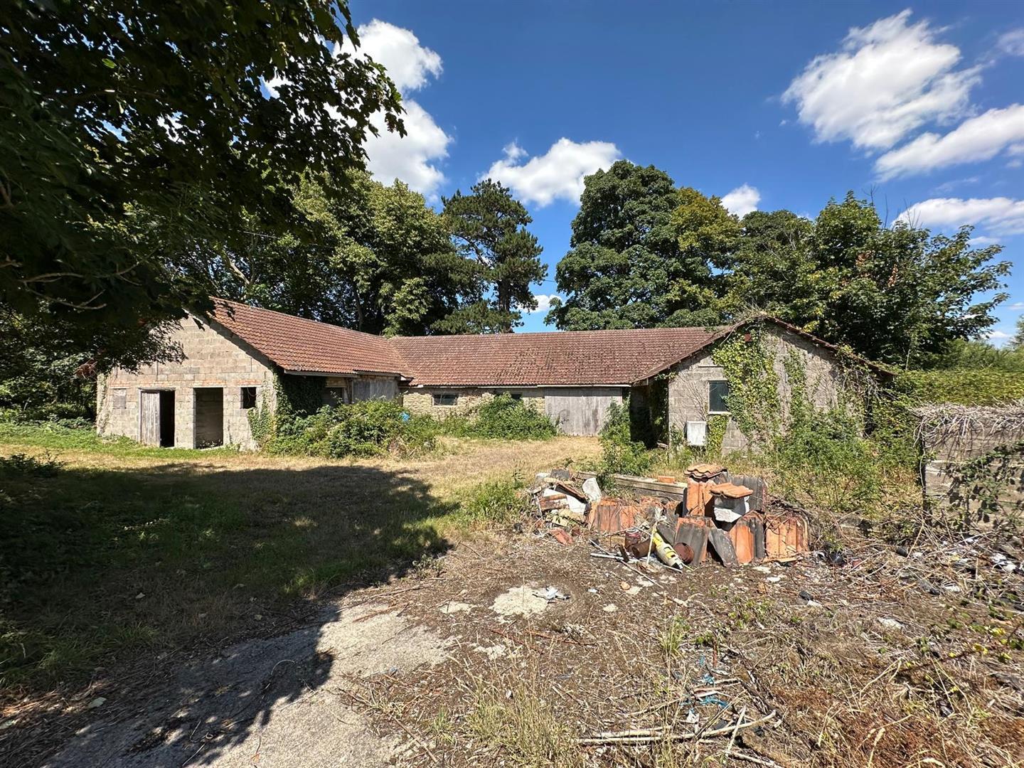 Property Image 92a774d0-9ffa-4db7-8984-0892f686dbd3