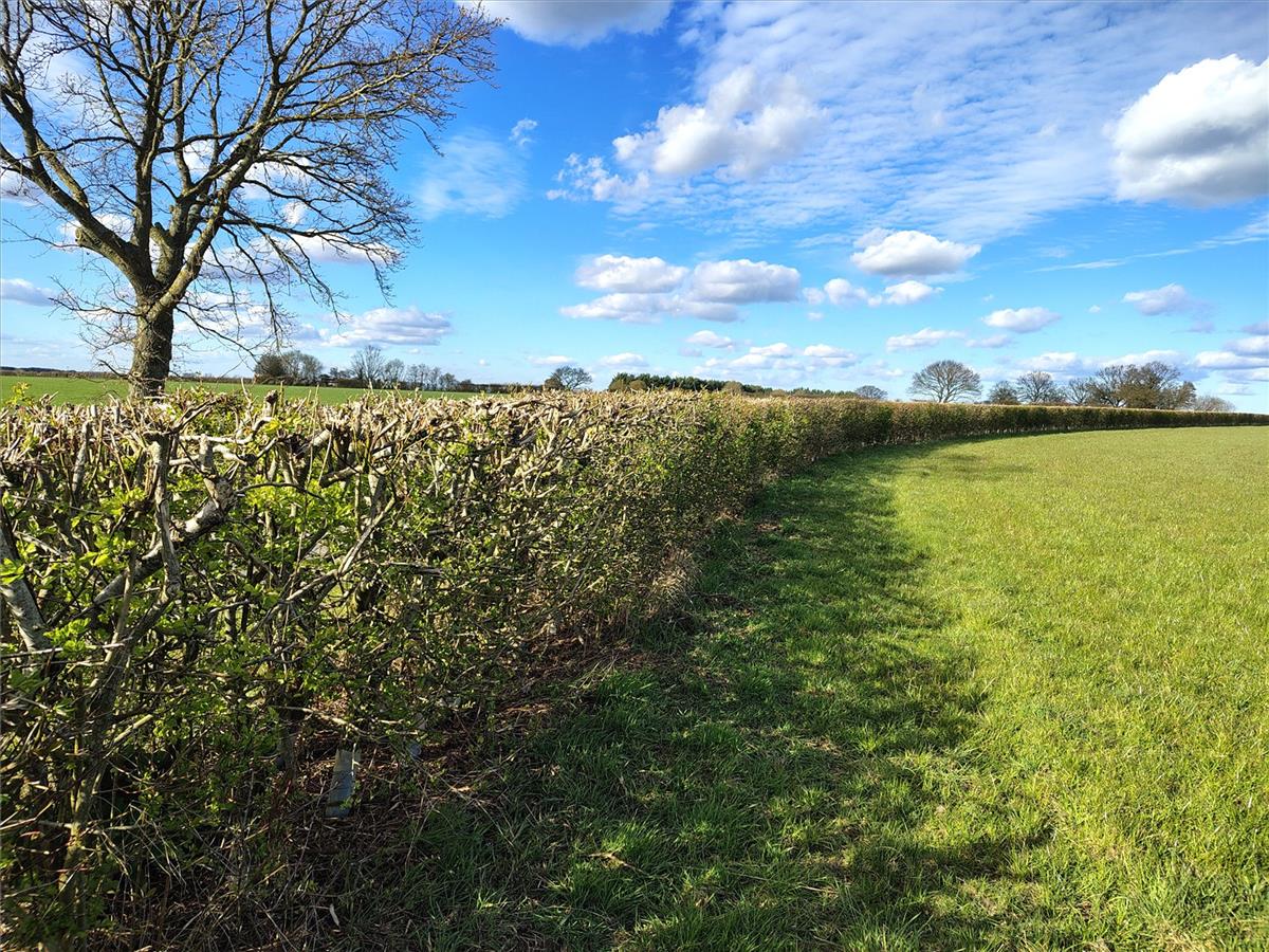 Property Image 92c27439-c876-463a-9f32-32cd3065107c