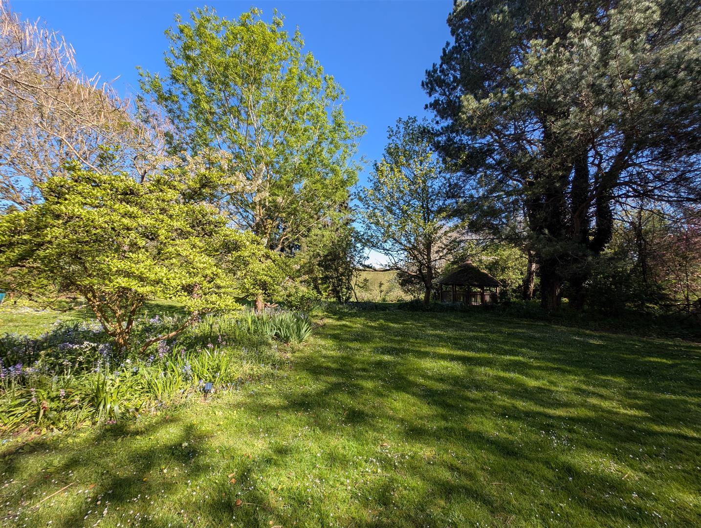 Property Image 92c37319-5193-49c2-ab64-dd7e013deb34