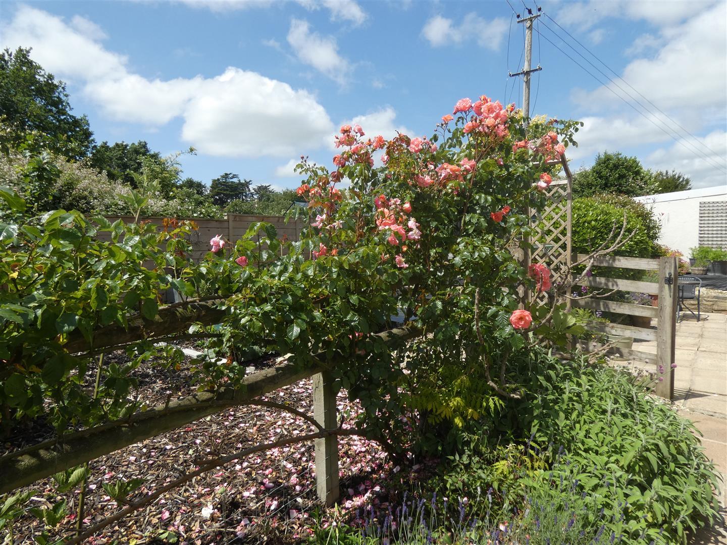 Property Image 931062f1-2ca9-4023-8cad-76f5003e1708