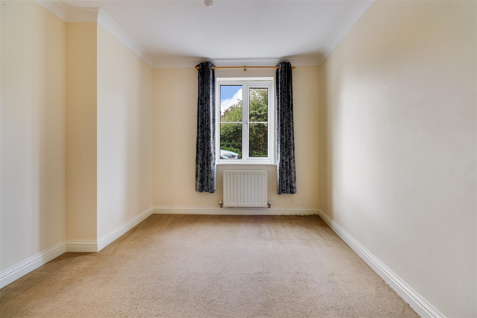 Property Image 9387d58b-1cf4-4701-bb95-c7944f0d850f
