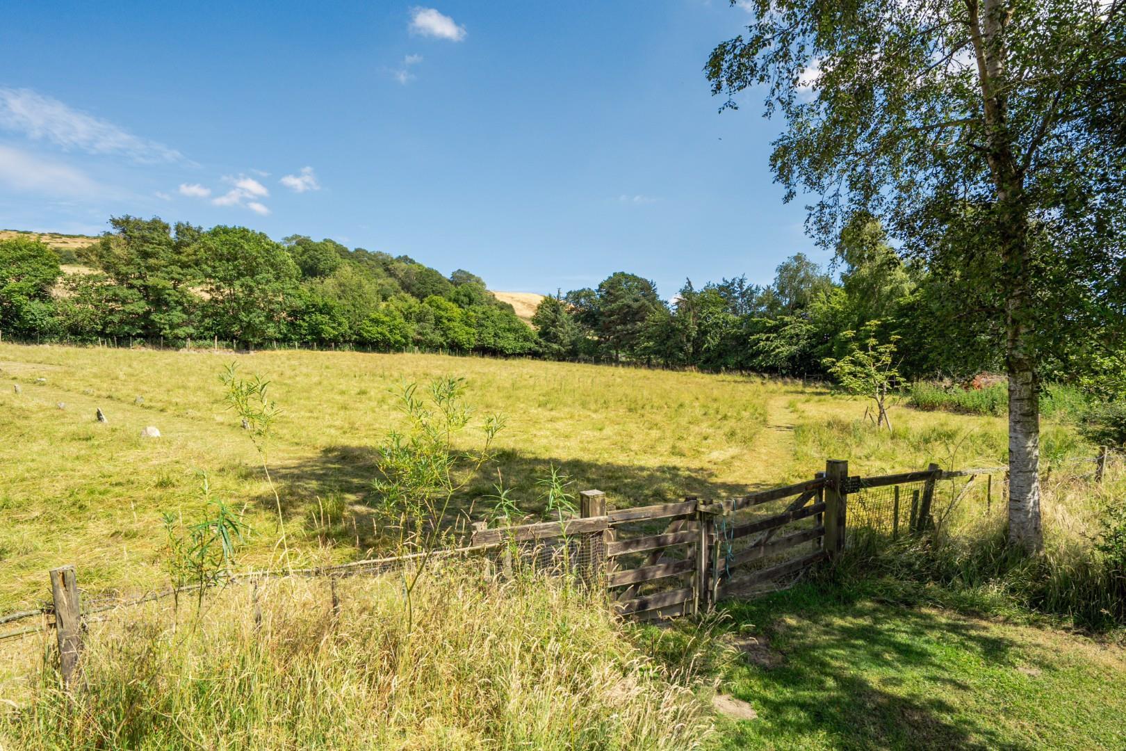 Property Image 93918656-e631-48fb-b4e7-51b3a0fa1c2e
