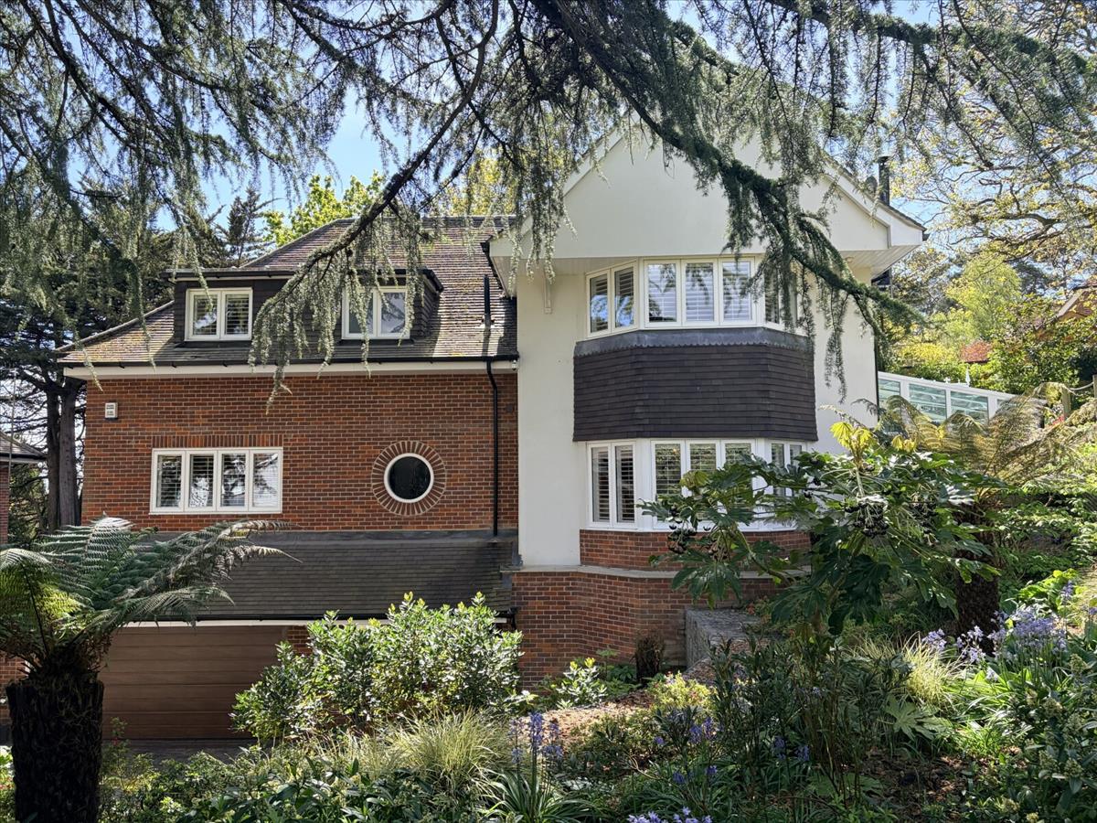 Property Image 93cc650f-7bd1-4b6b-bbf9-ea645ffdae55