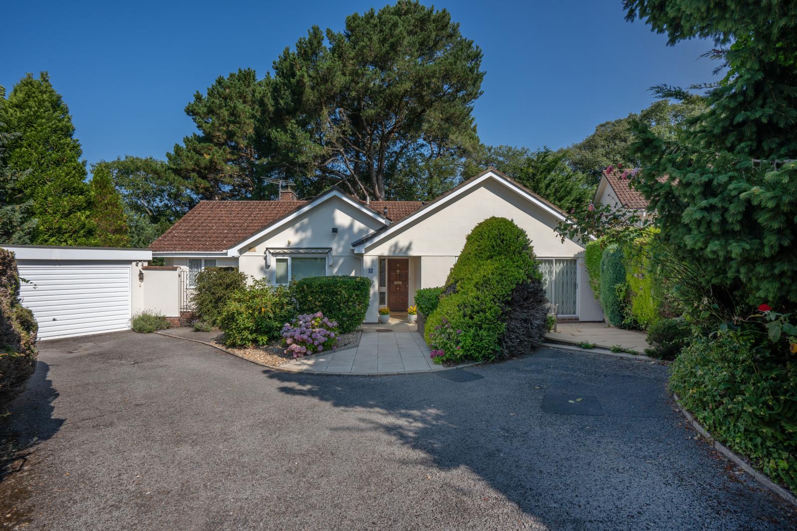 Property Image 93e8f561-1261-41d1-8c4a-a88c2049d7f3