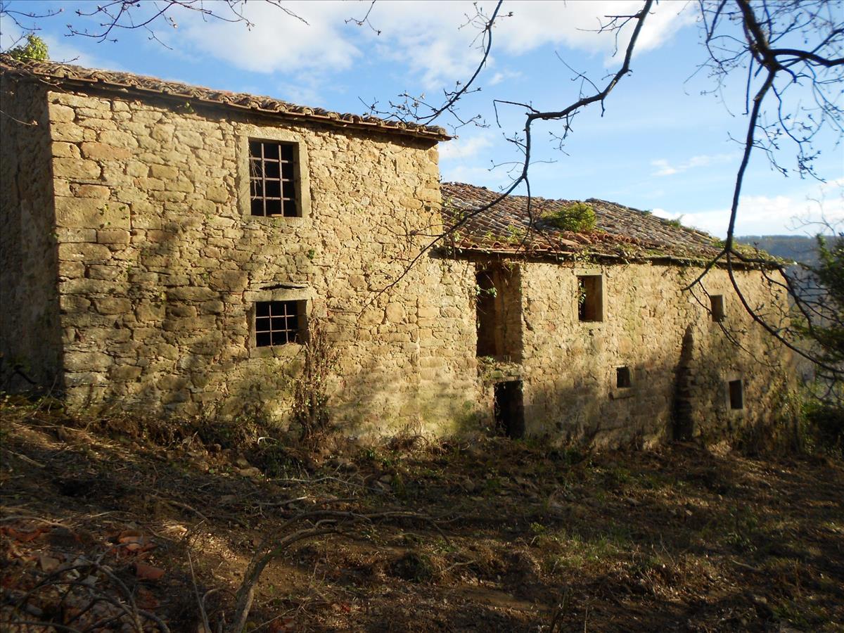 Property Image 93eb02b2-0d07-41b5-a0d2-18e68b276225