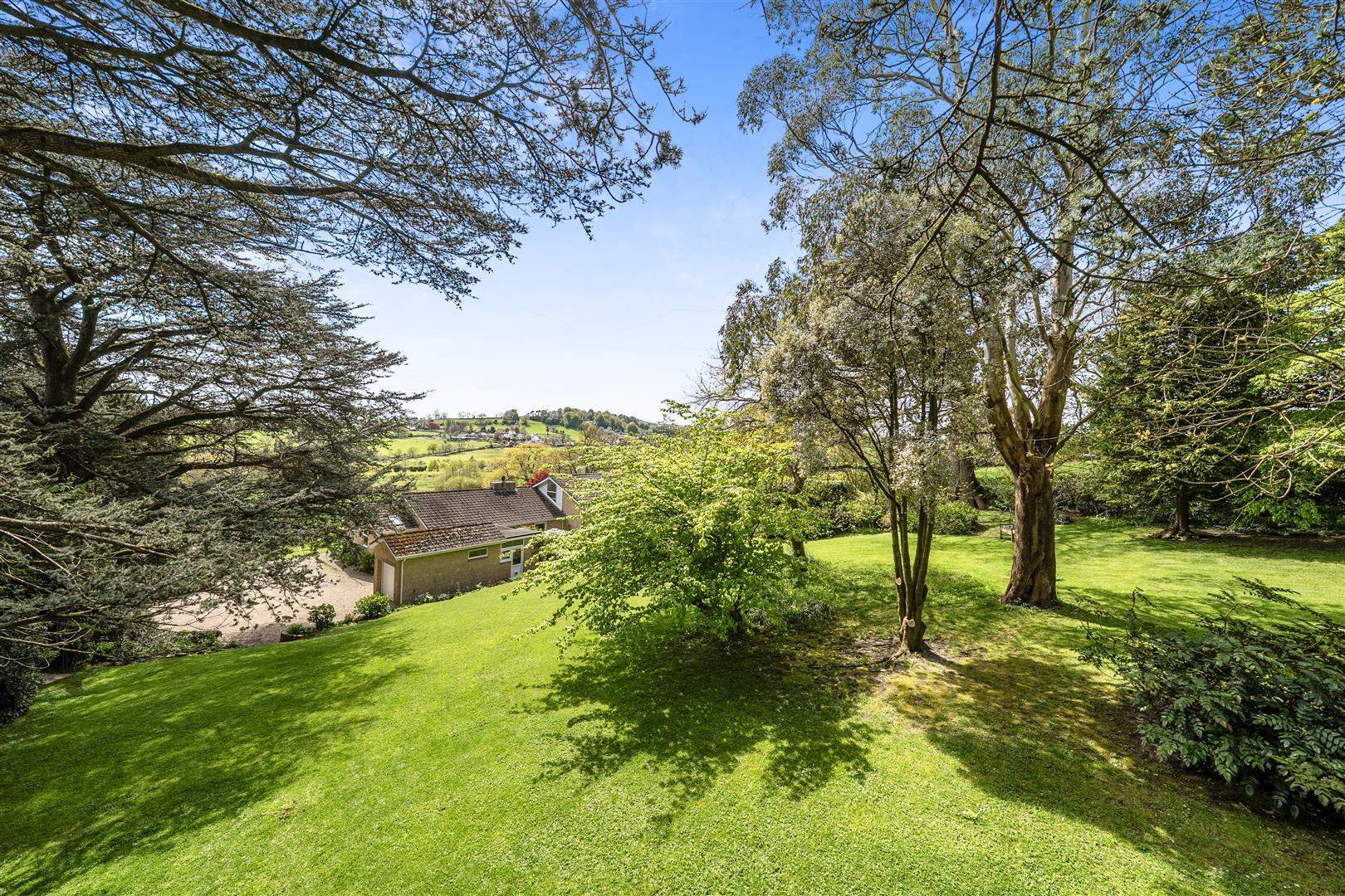 Property Image 942145d7-b050-46c1-a5cb-3e7ff02de4ca