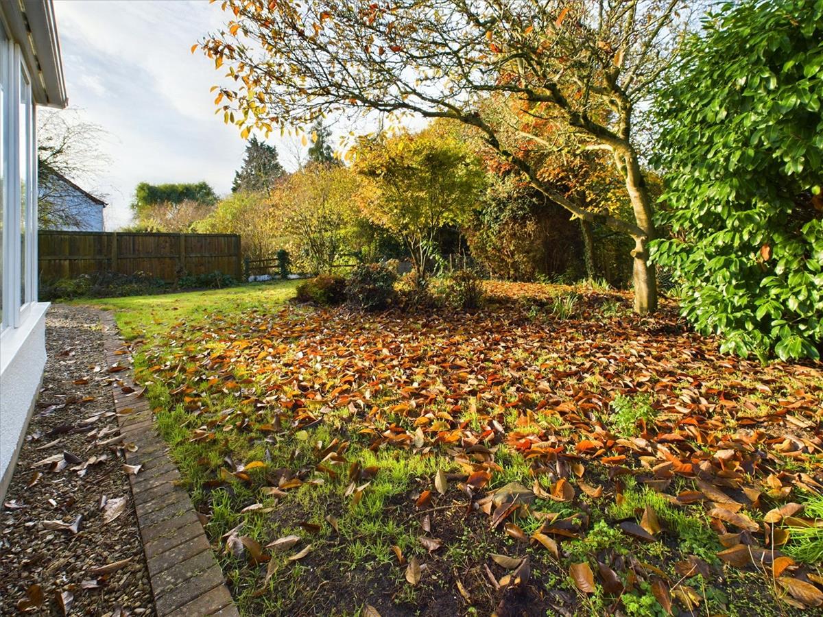 Property Image 942a288b-5e70-42d3-a648-2586f561708b