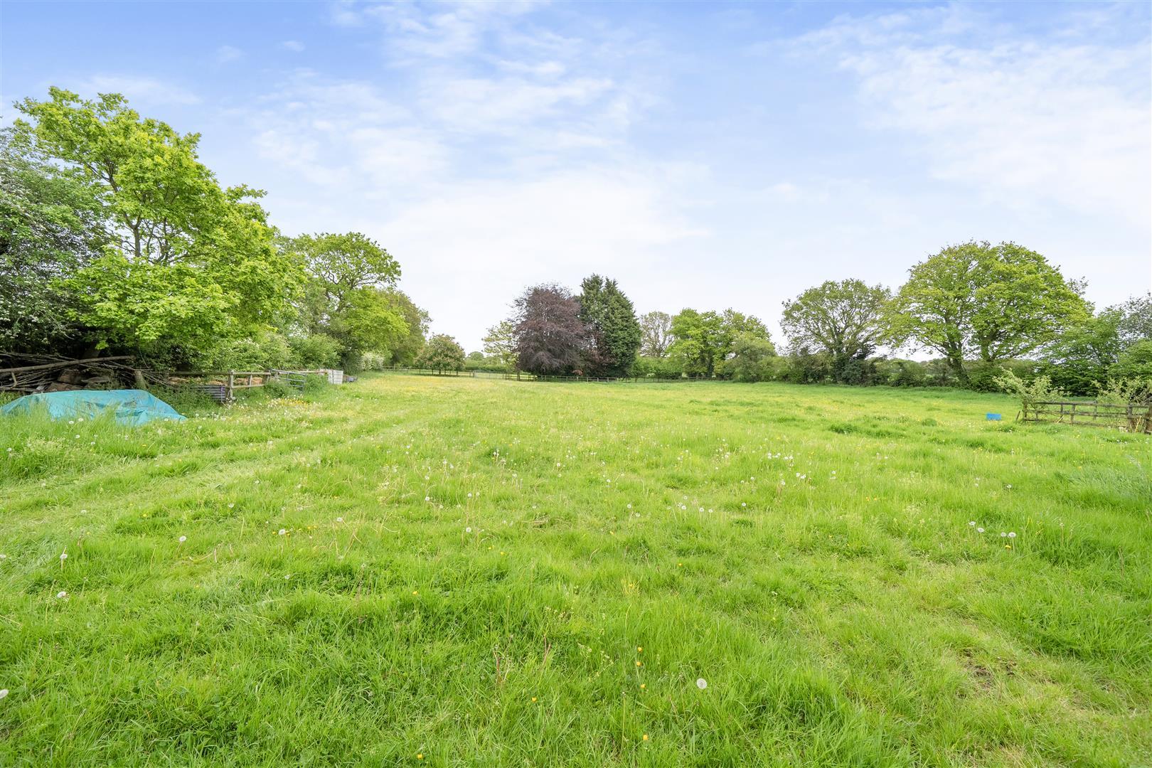 Property Image 94302ab0-81ed-4de3-83b6-4d8aae8c69b7