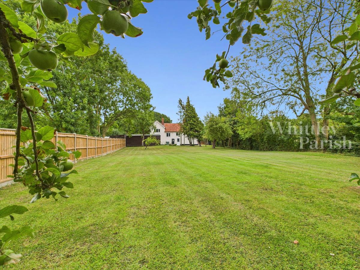 Property Image 948ac5d4-69ca-4e27-b4b1-820334d74f6e