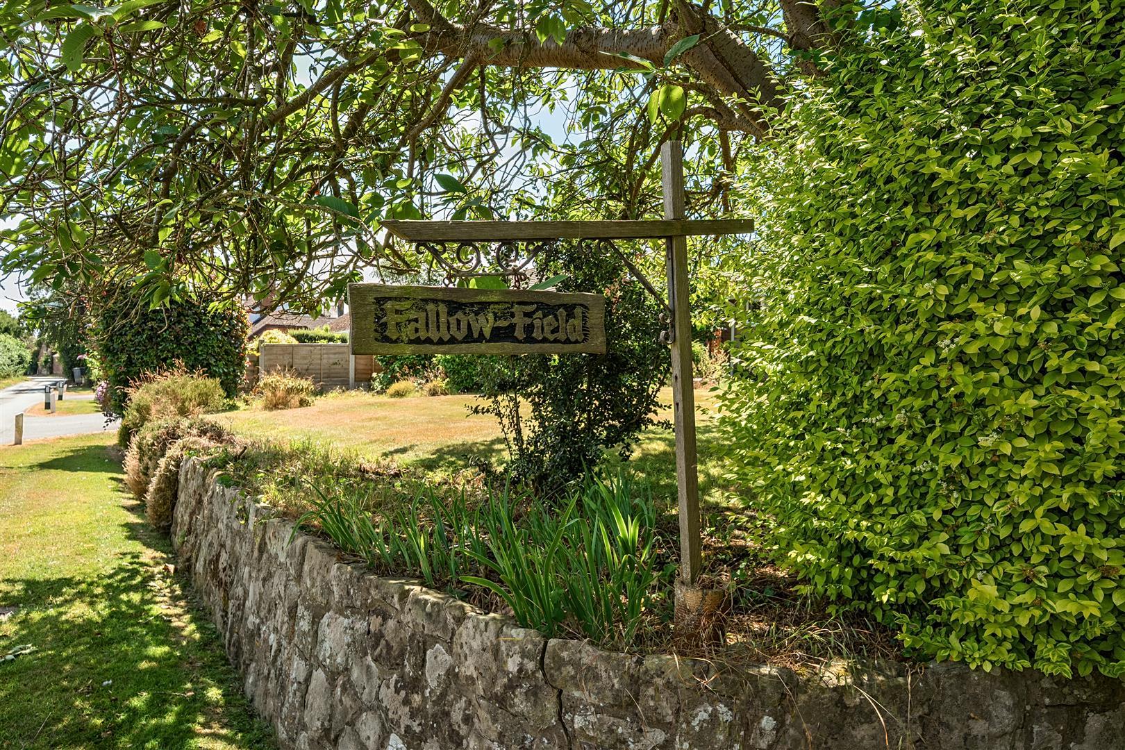 Property Image 94d05f6d-c5ef-4b81-8f44-46fca8139c27