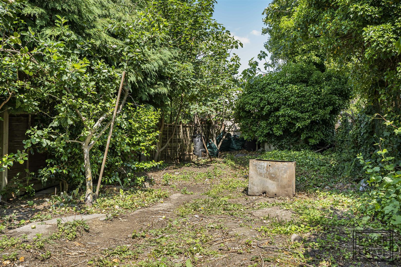Image 28
