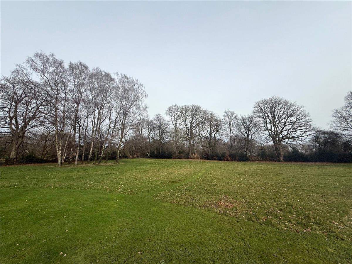 Image 30