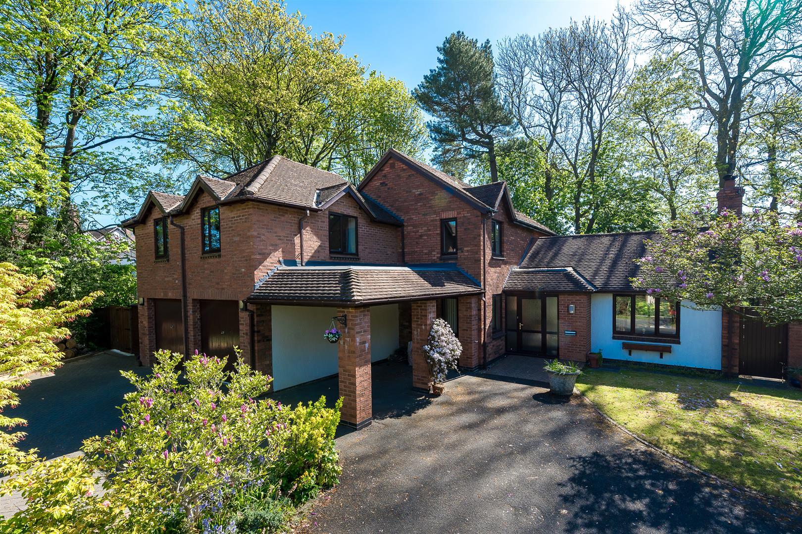 Property Image 95320ab3-2afa-405c-b0c8-f00b19b7aa6c