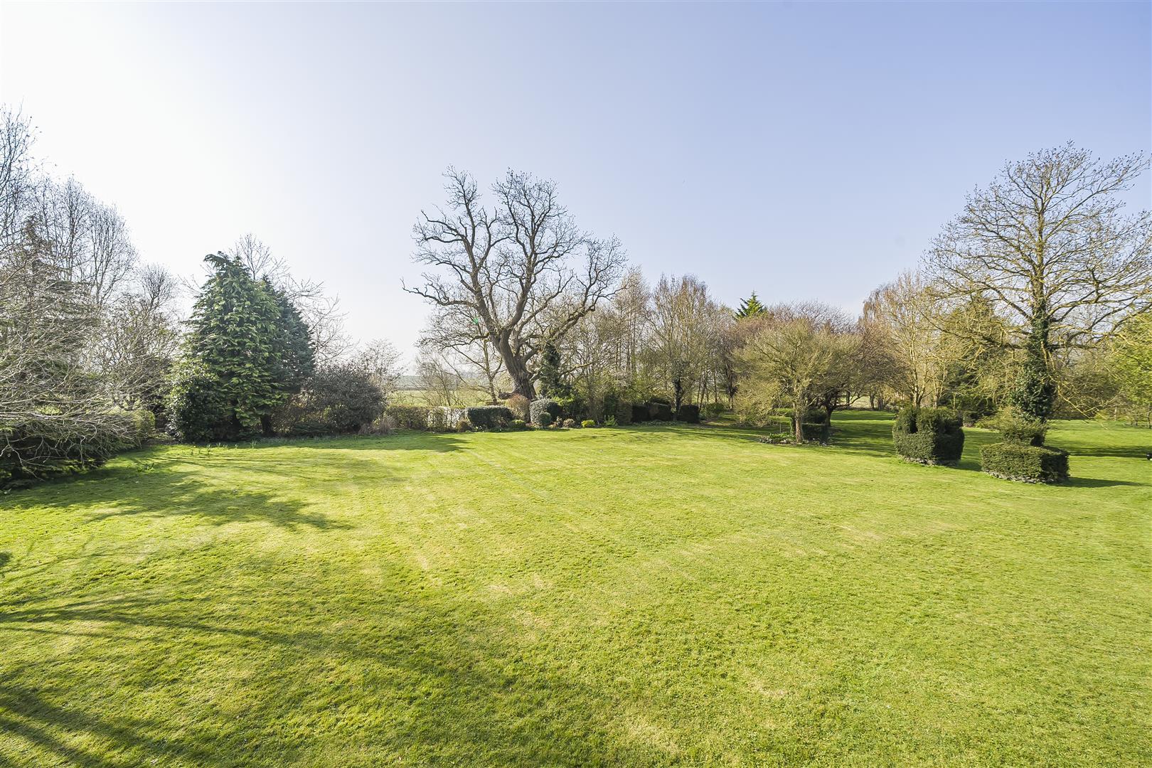 Property Image 95cfdbdc-fa79-4b59-8f39-7e56cd21f87f