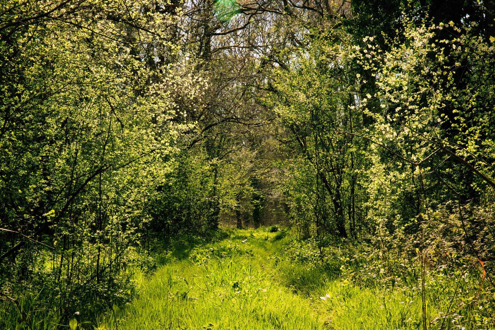 Property Image 95f6e76f-945f-4f2e-90b1-e86afbbe7e47