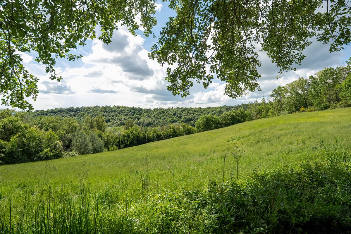 Property Image 960380fb-2d41-48e7-8d24-3590e3dd9bc4