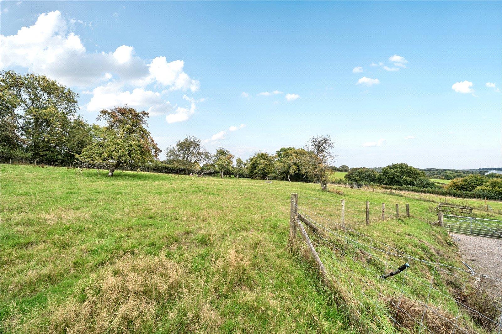 Property Image 961100aa-5141-4e7c-8f1d-ac61ecae0999