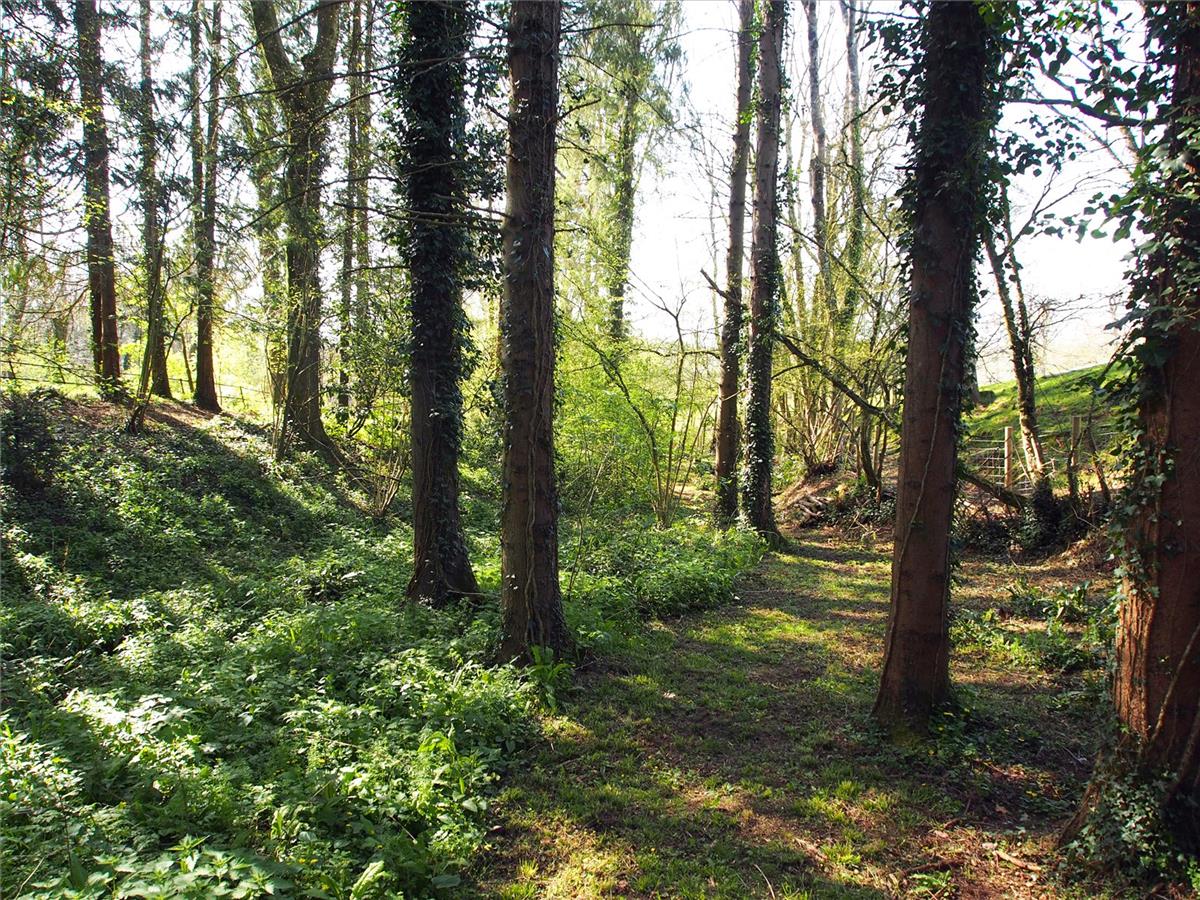 Property Image 964d5a59-38a3-4122-a9c2-d752d6090d21