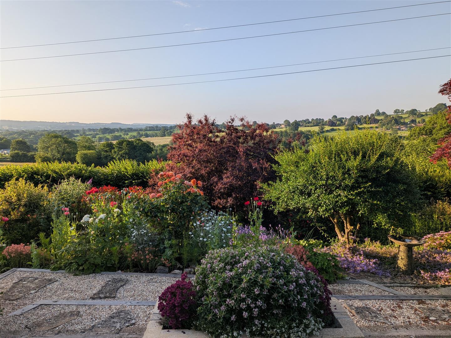 Property Image 9672b7c3-1b05-4458-a9e6-e41ff43a755c
