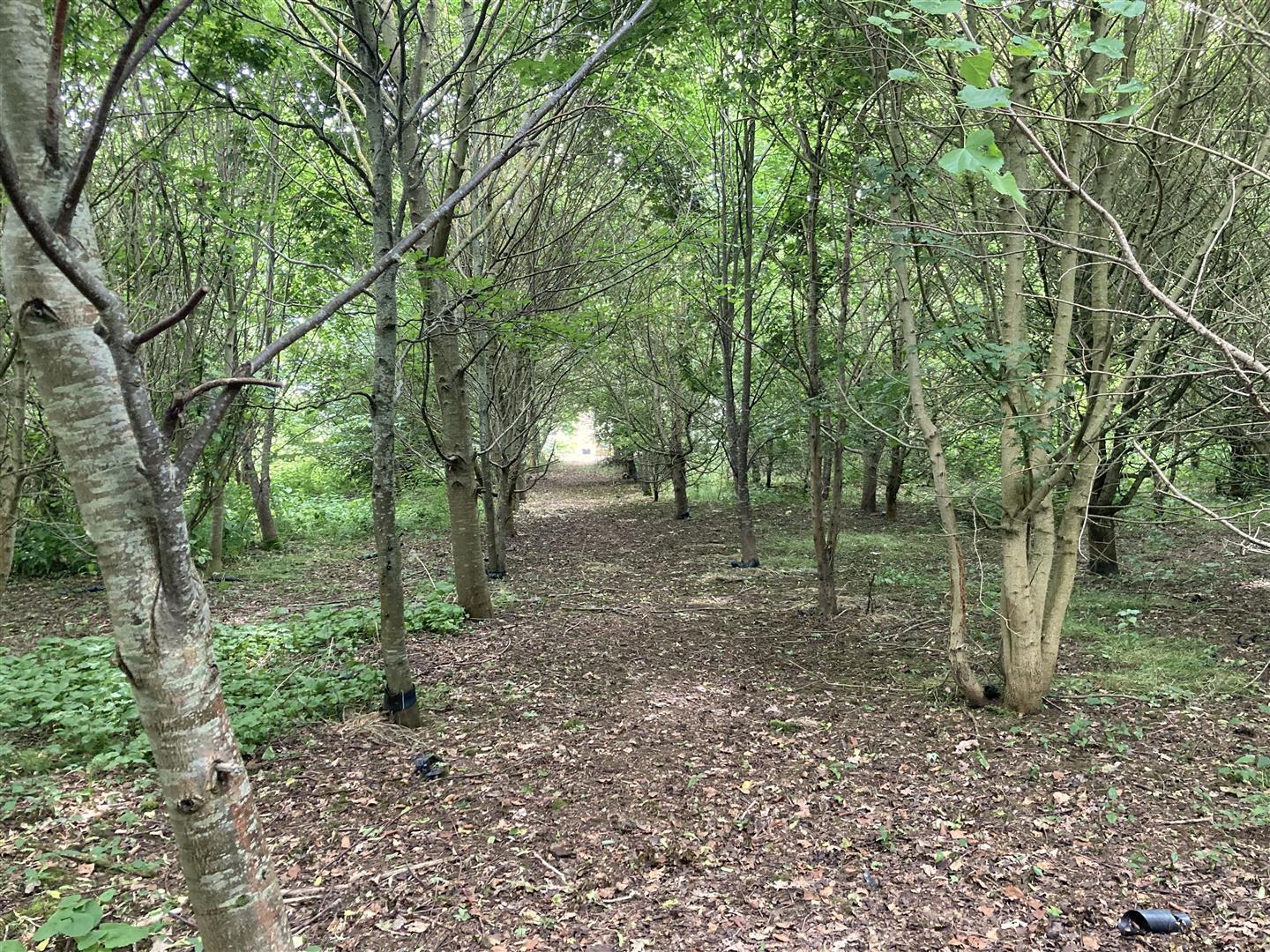 Property Image 967dc35e-c57a-439a-a399-75a0499a794b