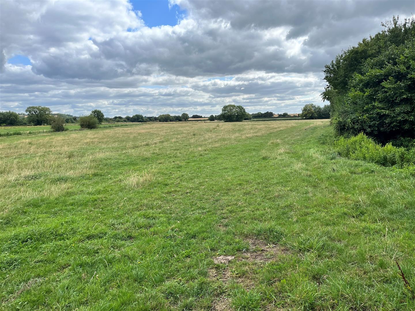 Property Image 968e1022-e635-4023-9c6f-dcfc0b0acf8f