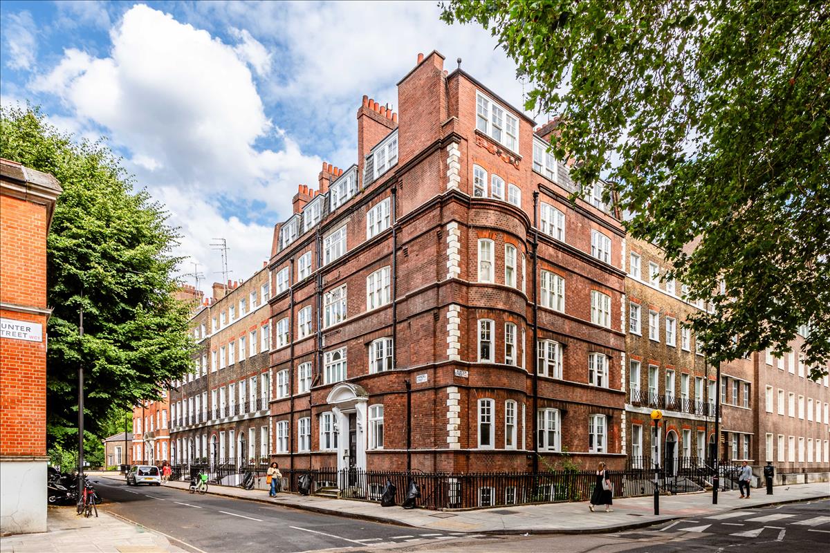 Property Image 9699fe5d-ce76-47fd-82f2-1bf3dafef60d