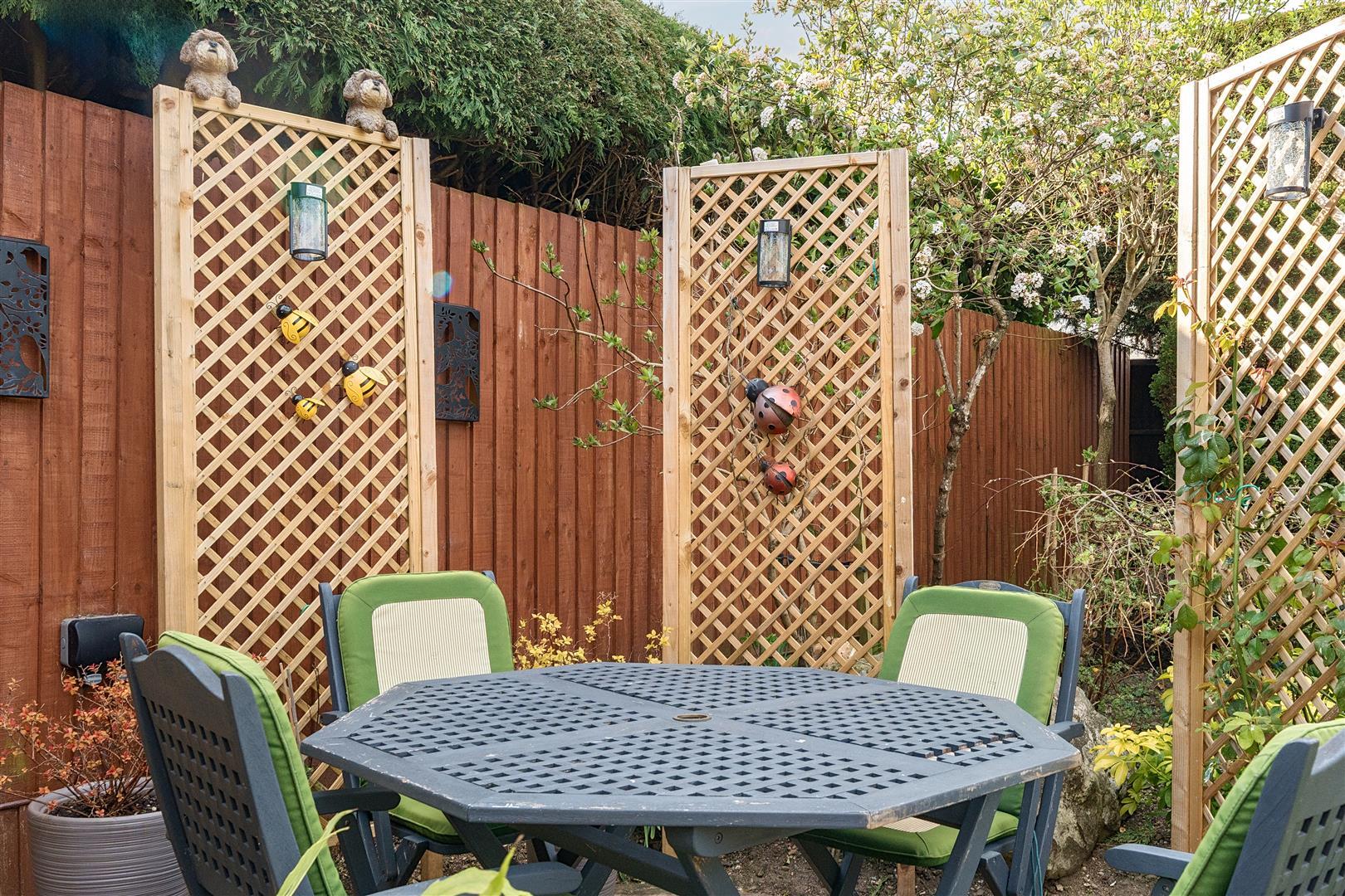 Image 27