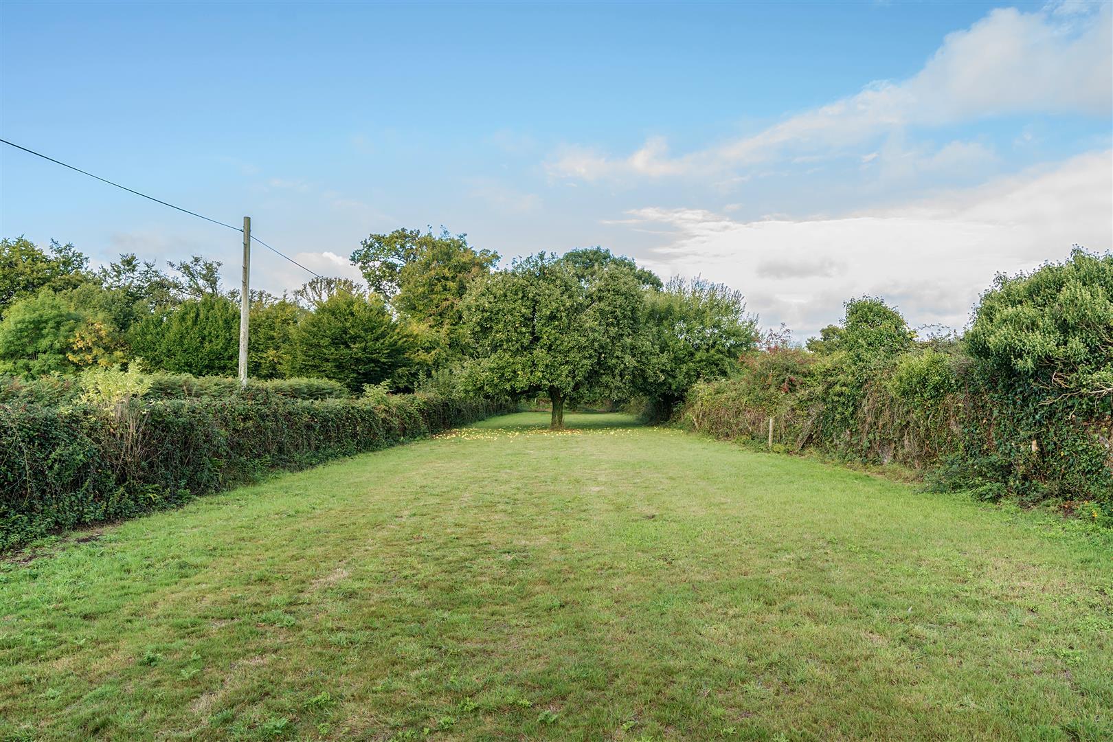 Property Image 96c2b4ea-2e18-4146-9e9c-7abc270c31b8