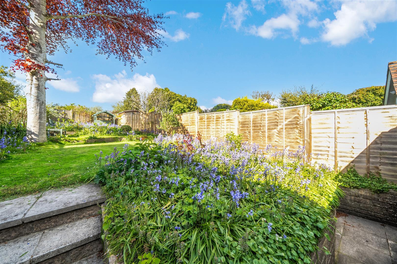 Property Image 96f15d8a-2984-4343-b77f-bb7958907791