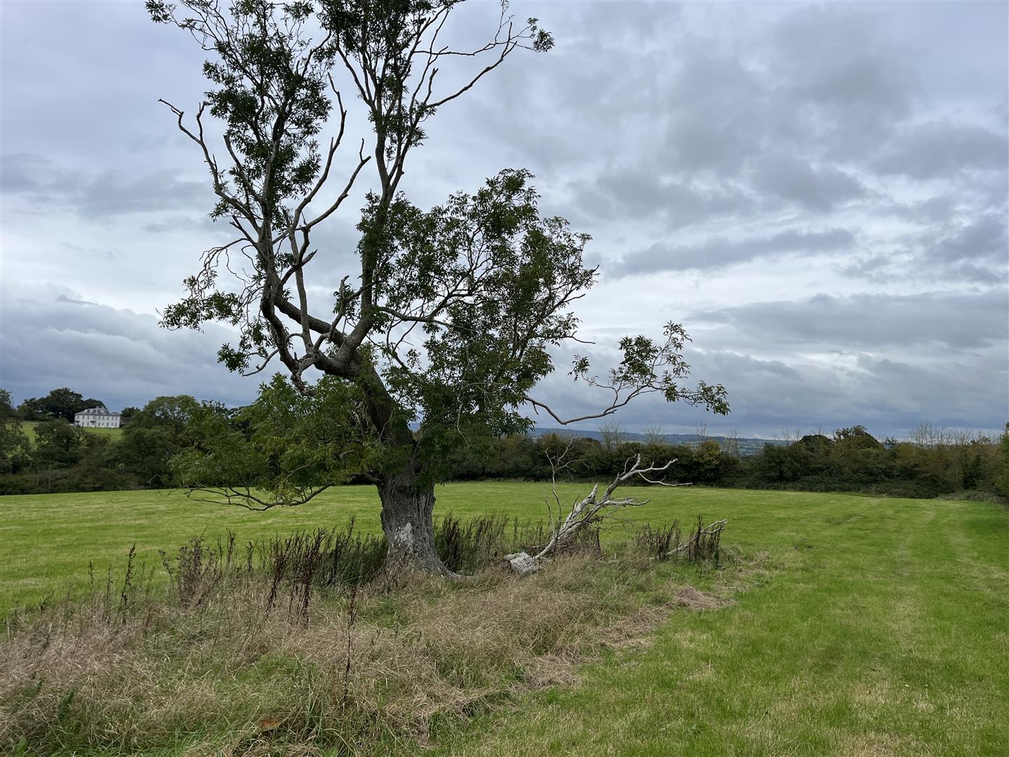 Property Image 96f96903-d5a8-4780-b17b-4cee55296f46