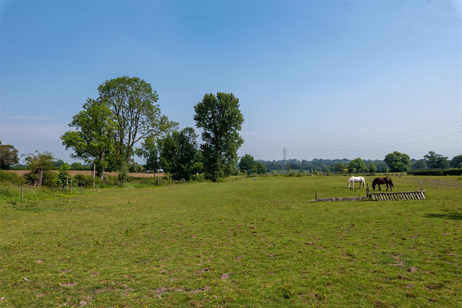 Property Image 9709d6e6-6a07-476c-bbc6-26c0b0b6e05b