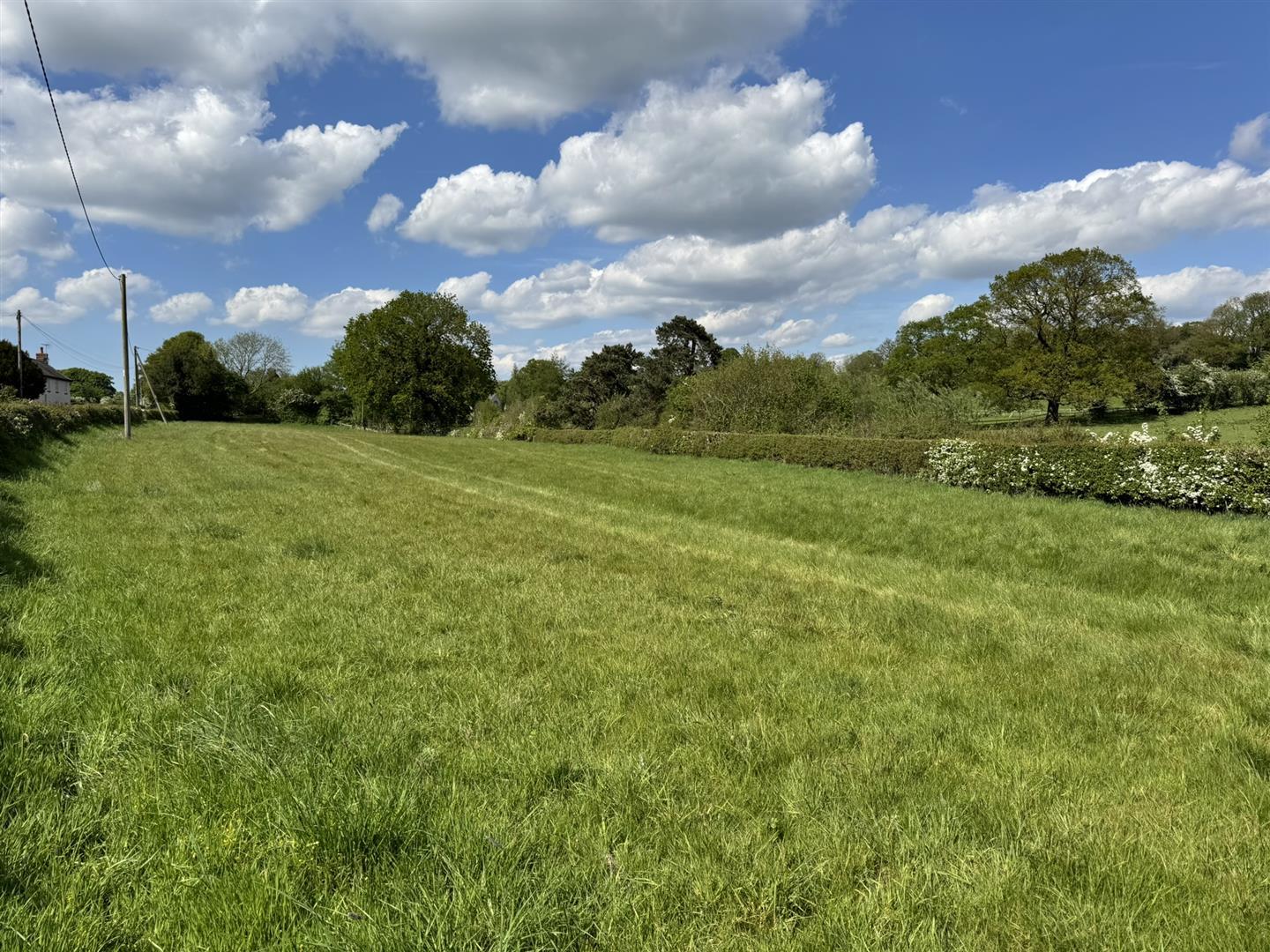 Property Image 9719b395-dd7c-4de6-93da-830cb7108892