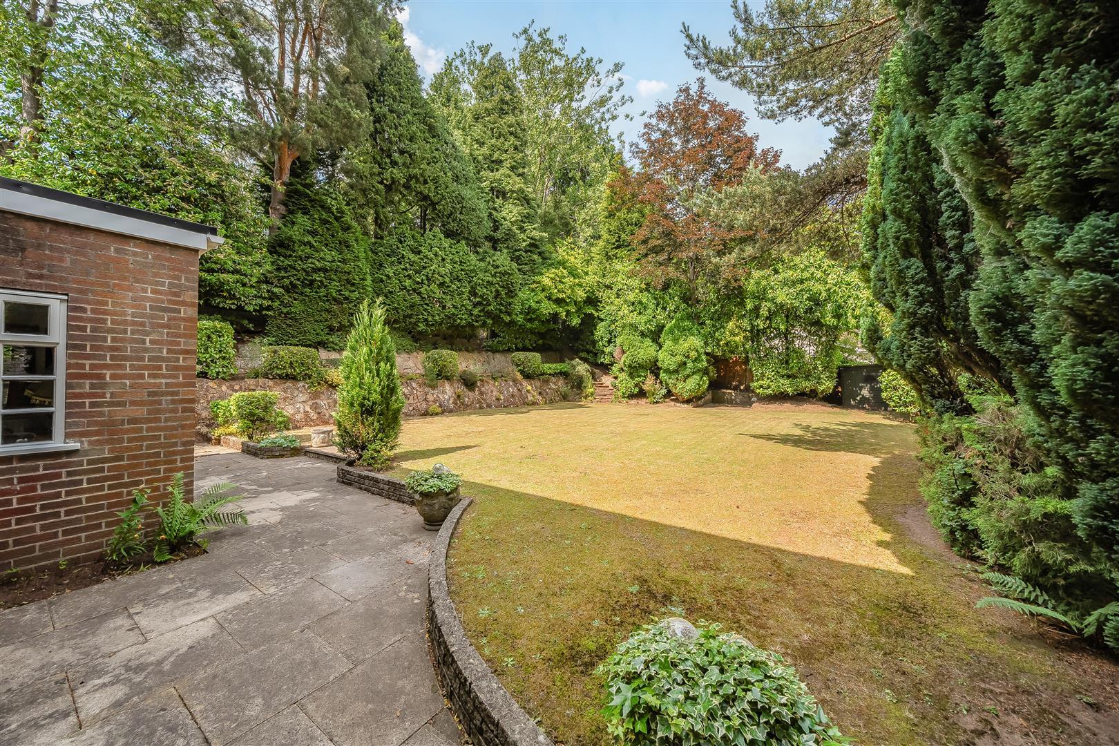 Property Image 97306374-8fa9-4a62-bc70-a0aaef3e2a7e