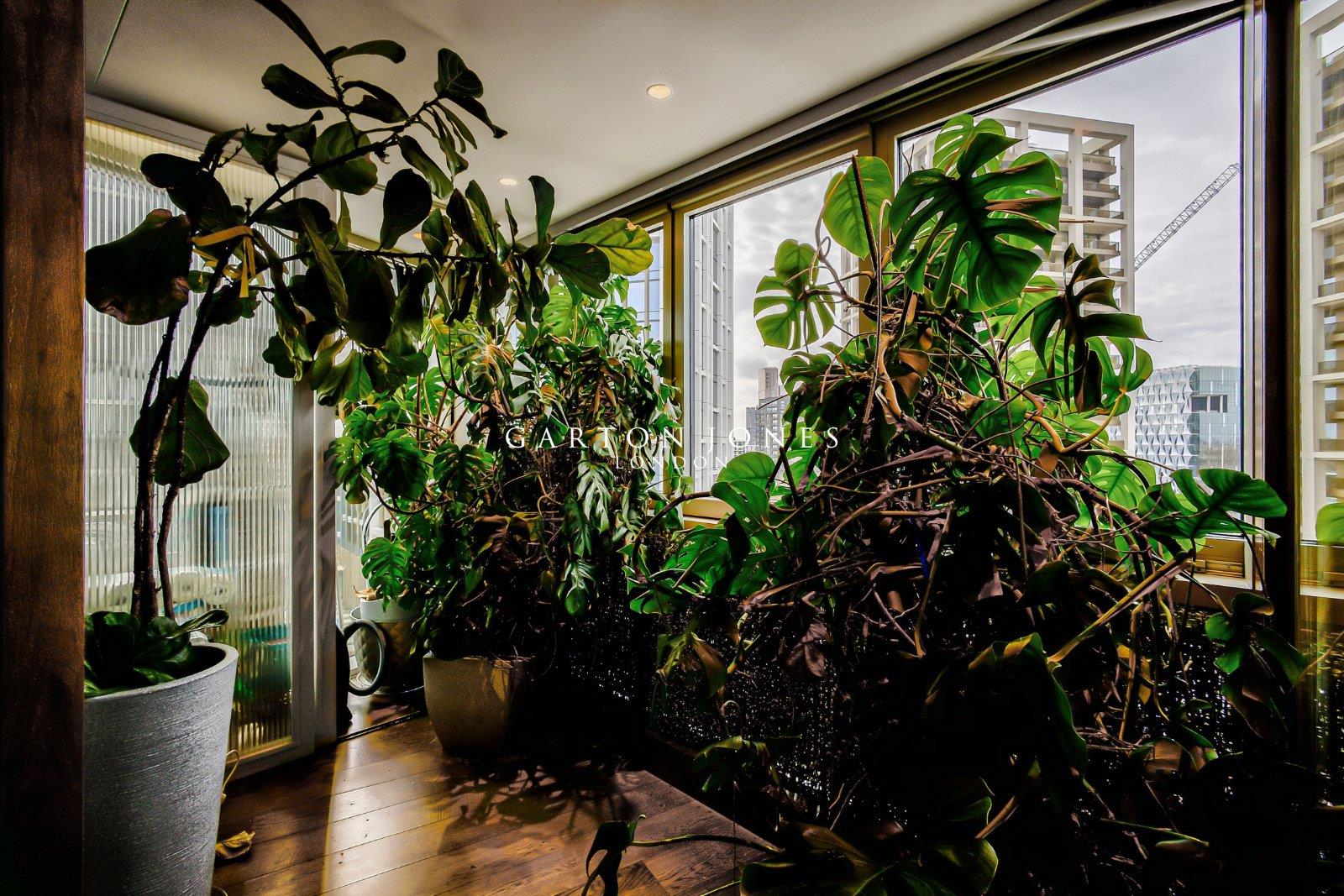 Property Image 97386fed-2950-4e2d-8241-6e9c29187240