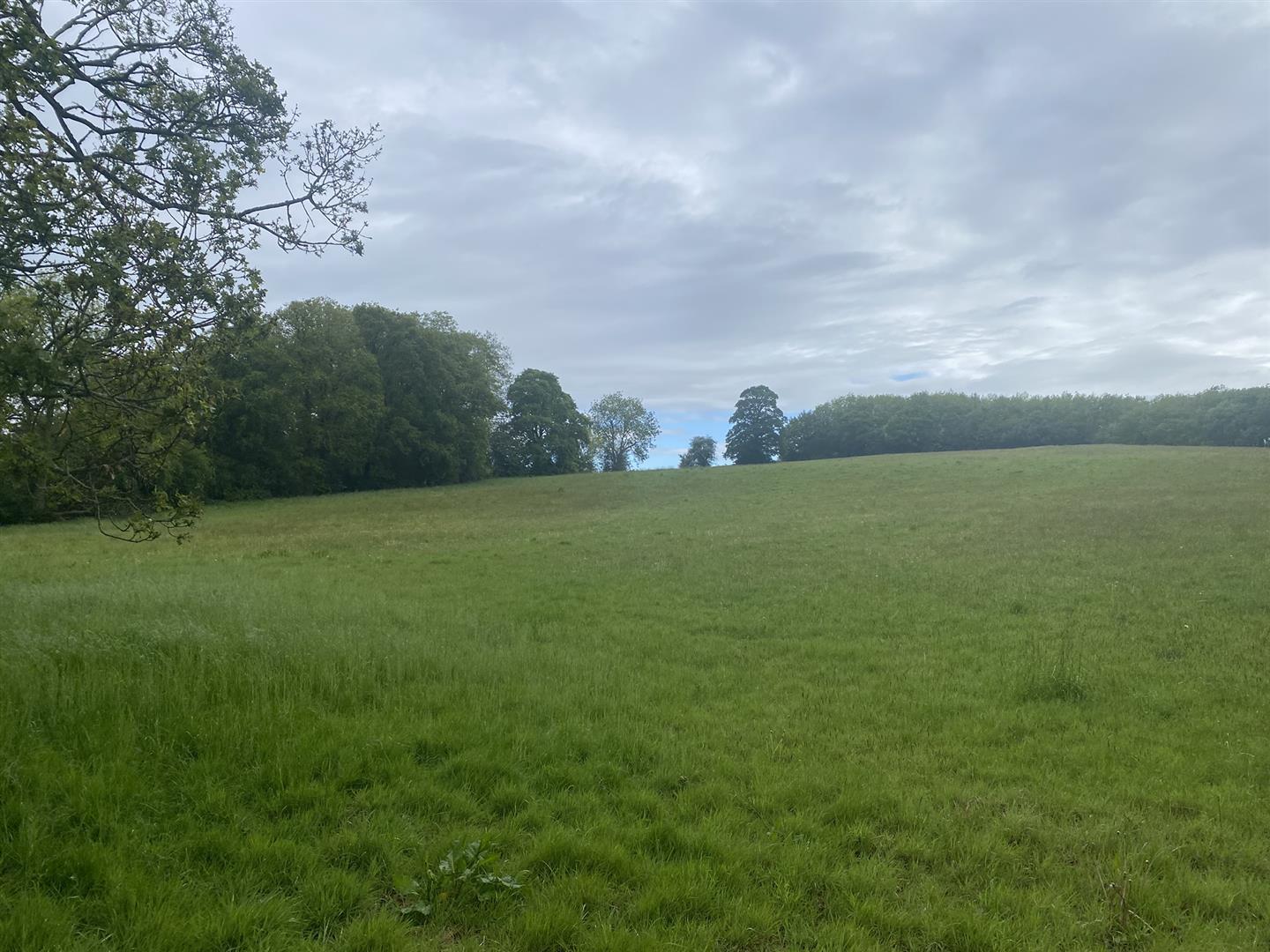 Property Image 9748099a-2a8e-479f-b11b-9300de667b9e